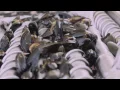 Port Lincoln s Seafood Centre where they offer the complete seafood experience