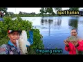 Lagu Spot harian...!! Setelah 3 bulan tidak ada yang mancing ternyata ikan nya masih banyak kawan