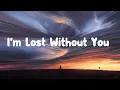 Download Lagu Blink -182 - I’m Lost Without You Lyrics Video