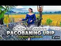 Download Lagu INTAN MANDASARI HITS ALBUM - DANGDUT BANYUWANGI SELALU DI HATI 