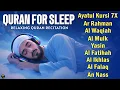 Download Lagu Quran recitation in a peaceful voice I Alfatiha, Yasin ,Arrahman ,AlWaqiah ,Almulk -By Alaa Aqel