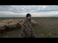 Lagu Tânăra Aura Ionela se Ocupă De Creșterea Oilor 🇹🇩Împreună cu Tatăl Ei Au O fermă De 1000 Oi  