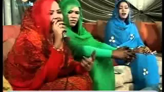 حرم النور طبل العز 