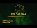 GW Harrison - Feels Good (Extended Mix)