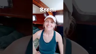 Nothing like a boat surprise! All Hahns on Deck #shorts #boatlife