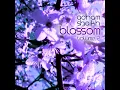 Cherry Blossom, Pt. 8: Cascades - Adham Shaikh
