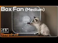 Download Lagu ►10 uur boxventilator witte ruisgeluiden om te slapen. Raamventilator. Katje.