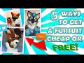 5 Ways to Get a Fursuit Cheap or For FREE