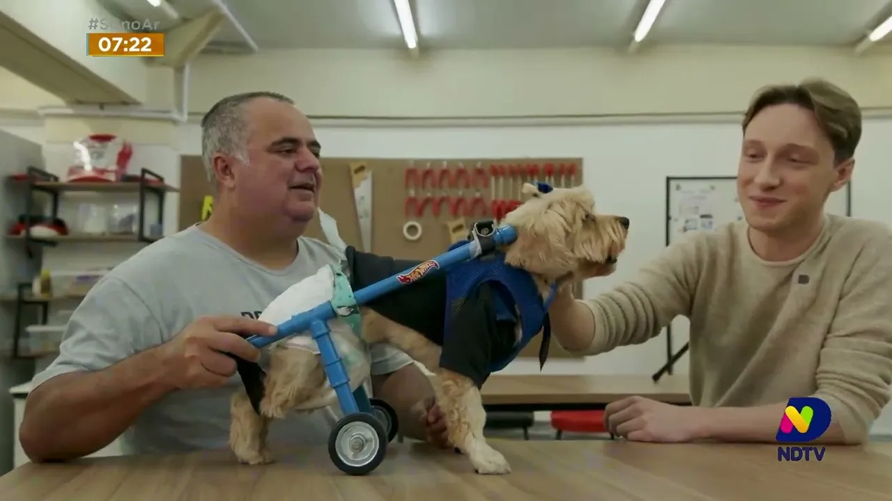 Estudantes de Blumenau, no Vale, desenvolvem cadeira de rodas para cão paraplégico