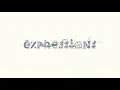 Expressions Trip After Effects Course