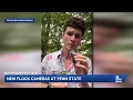 Flock cameras raise privacy concerns as Penn State installs surveillance network