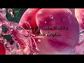 Download Lagu Sholawat Hasbi Robbi شَلوَاتُ حَسْبِي رَبِّي