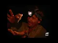 The TIGER of the Insect World The Crocodile Hunter Animal Planet