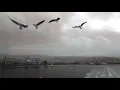 Orhan Atasoy - Gemiler - 1993