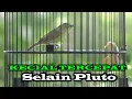 Download Lagu SAINGAN SPEED PLUTO||KECIAL KASAP 2022