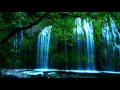 Data Rebel - Cascade