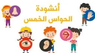 انشودة الحواس الخمسة انا انسان لي احساس اغاني اطفال دندنها