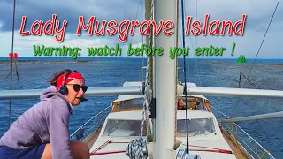 Watch this BEFORE you sail to Lady Musgrave Island :Australia Great Barrier Reef ! Ep217