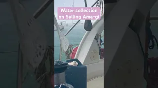 How do you get your drinking water? 🌧 on Sailing ⛵️ Ama-gi we collect rain water #sailing