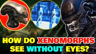 How Does Xenomorph Vision Work Without Any Eye Sockets - Explained