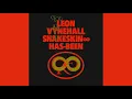 Leon Vynehall - Snakeskin ∞ Has-Been | Rare Forever Album