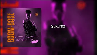 pro tee u0026 dj sfrench sukuma ft cnunzaar 