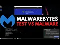 Malwarebytes Test vs Malware