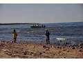 Montauk Time Tide Episode 4 - Favorite plug today