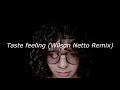 Avicii - Taste feeling - (Wilson Netto Remix) [demo] Instrumental