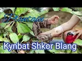 Download Lagu Ki Kynbat Shkor Blang Ka Jingmyntoi ia U Klongsnam.
