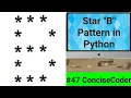 Star B Pattern in Python - ConciseCoder Beginners