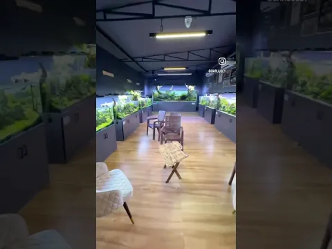 I was NOT expecting this aquarium gallery to be where it was!!