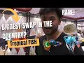 This Fish Swap will SHOCK you