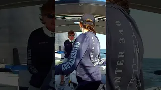 Another Fun Race on Galveston Bay #shorts #sailing