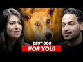 Lagu Which Dog Really Suits Your Personality? | HUFT Founder | Raj Shamani Clips