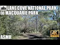 ASMR Sydney drive Lane Cove National Park to Eden Gardens Macquarie Park
