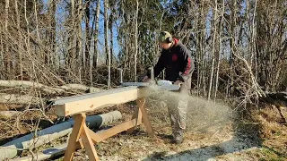 Sawmilling In The Woods