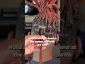 How to Locsmith locddatlastt