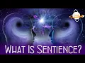 What is Sentience?