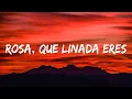 Download Lagu Rosa que linda eres - La canción viral de tik tok