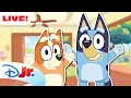 🔴 LIVE! 24 HOURS Bluey Full Episodes | NEW Episodes: Onesies, Double Babysitter, \u0026 More |@disneyjr