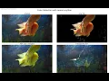 Object Detection Color Hue Segmentation HSV python Image Processing opencv-python