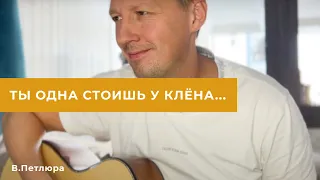 Ты одна стоишь у клёна В Петлюра 