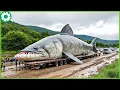 Download Lagu Kompilasi Traktor Terjebak Lumpur Mengangkut Ikan Batu Raksasa | Mesin Berat Terbesar