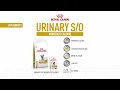 Why Urinary care shouldn t disappear with the symptoms Discover ROYAL CANIN Urinary for cats