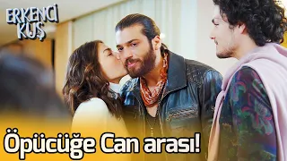 Download Öpücüğe Can Arası! | Erkenci Kuş MP3