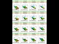 R75 Lattice Trivariate wireframe function