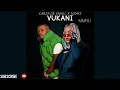 Kabza De Small & Msaki - Vukani (Official Audio)