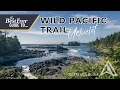 Stunning Ocean Views on the Wild Pacific Trail