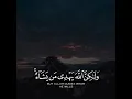 Download Lagu Quran | Al-Qasas | 28:56#Subhanallah #Alhamdulillah #Lailahaillallah #AllahuAkbar